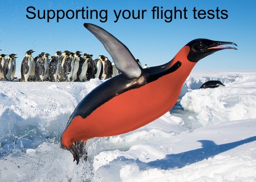 An FTI colored penguin jumps out of the water attempting to fly